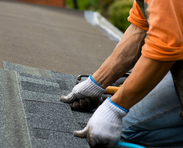 Best Roof Repair Services  in Winona, MN